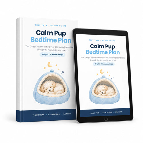 Pup Bedtime Guide